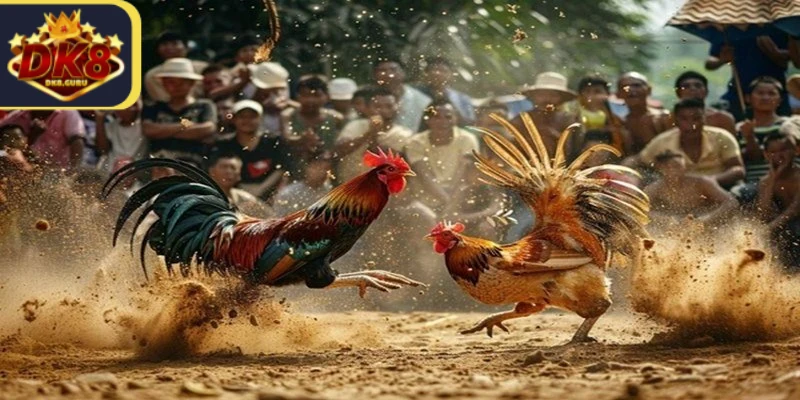 Đá Gà 12 Con Giáp - Bí Quyết Chọn Ngày Chọi Gà Chuẩn Xác 2 Thông tin dễ hiểu về đá gà 12 con giáp cho người chơi
