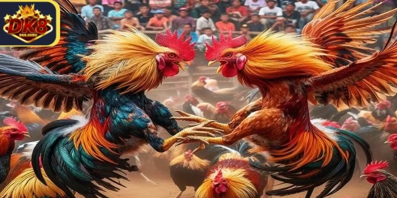 Trực Tiếp Đá Gà Cựa Sắt Thomo - Nơi Cá Cược Chất Lượng 4 Trực tiếp đá gà cựa sắt Thomo là một môn thể thao đặc biệt